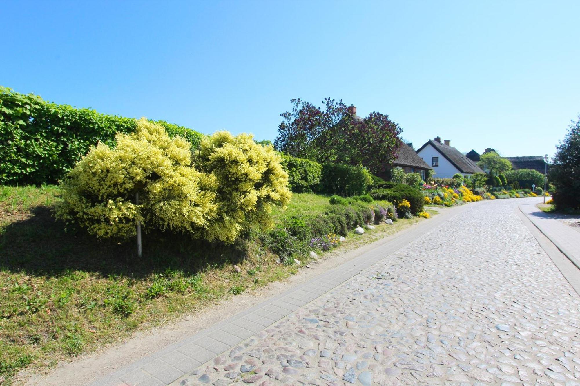 Ferienwohnung Mit Meerblick Und Gartennutzung - Haus Inselwind Fewo Meerstrand Groß Zicker 外观 照片